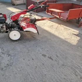 YTO 1104 2024