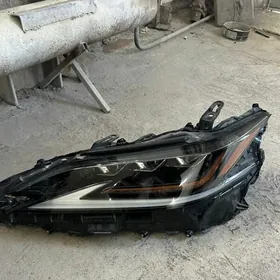 Lexus fara 4 lupa