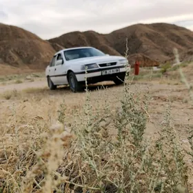 Opel Vectra 1991