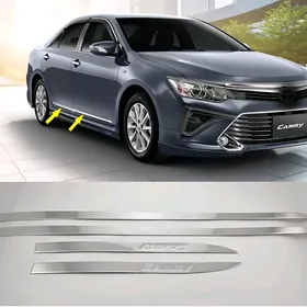 Camry Molding Gapy Nikel