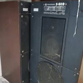 kolonka с50