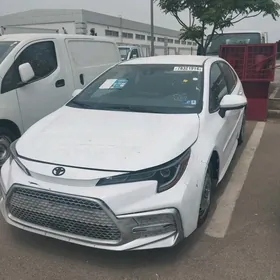 Toyota Corolla 2021
