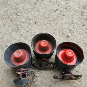 majikar kalonka