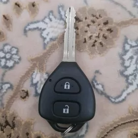 acar  radnoý  korolla