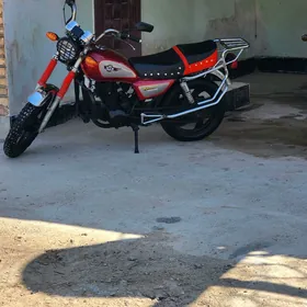 Fekon FK150-8G 2015