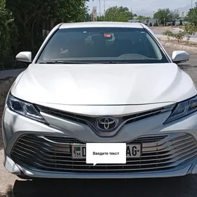 Toyota Camry 2019