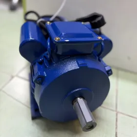 Elektrodwigatel