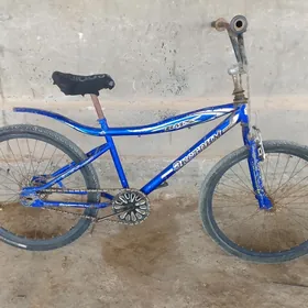tigir26