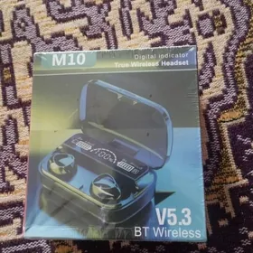 M10 Nausnik