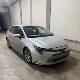 Toyota Corolla 2020