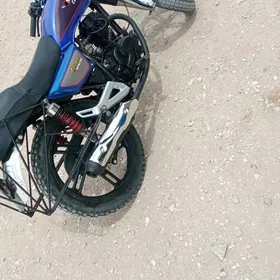 Fekon FK150-8G 2023
