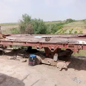 teleşke