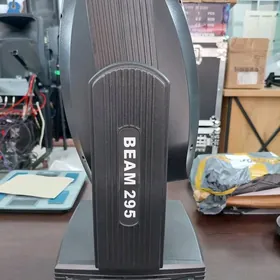 Beam 295