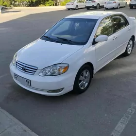 Toyota Corolla 2003