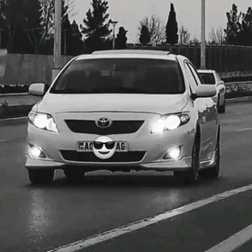 Toyota Corolla 2010