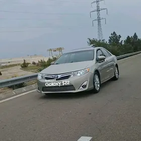 Toyota Camry 2014
