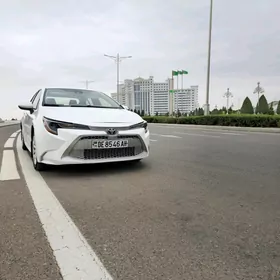 Toyota Corolla 2020