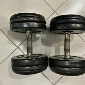 gantel