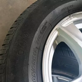 DISGE PAKRYŞGA 20.65.15
