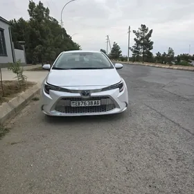 Toyota Corolla 2020