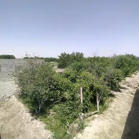 satlyk jaý boýy ýeten