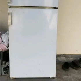 Birýusa holadilnik