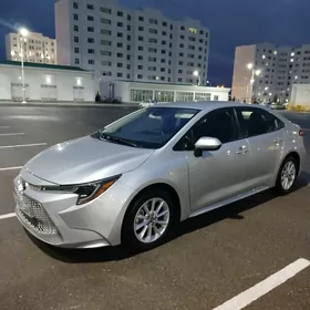 Toyota Corolla 2021