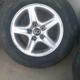 16 disga pokryşga rx 300
