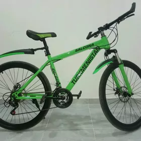 Turkmenistan tigir