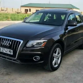 Audi Q5 2010