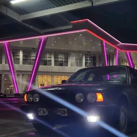 BMW 525 1991
