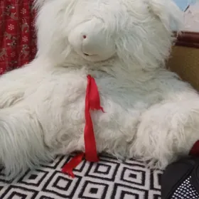 мишга