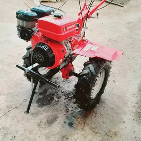 JAC N56 2024