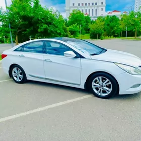 Hyundai Sonata 2010