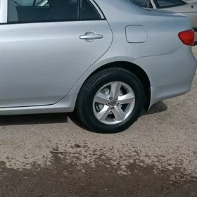 korolla 15 diska