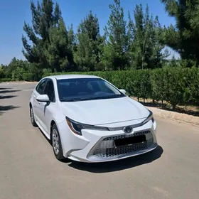 Toyota Corolla 2023