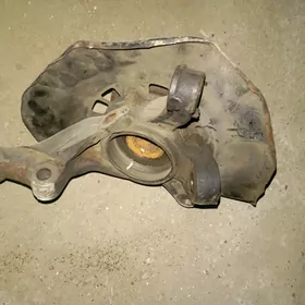 okuz stupica