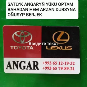 Satlyk Angar optam