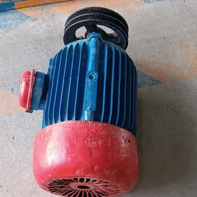 Elektro diwitil