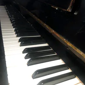 pianino pianina
