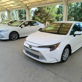 Toyota Corolla 2020