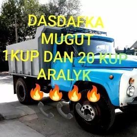miti şebil pulpa ders gum cage