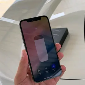 12 Pro 84LL/A 5G