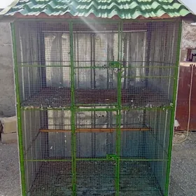 ketek
