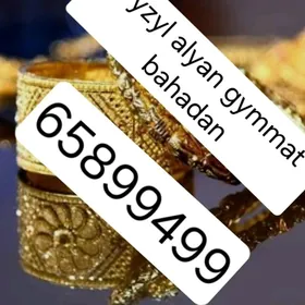 GYZYL ALYAN