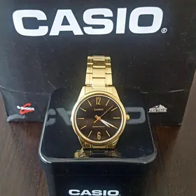 Casio Original