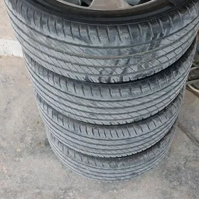 karolla exclusiv diska pakrysk
