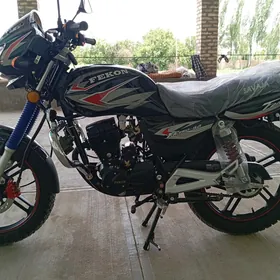 Fekon FK150-8G 2025