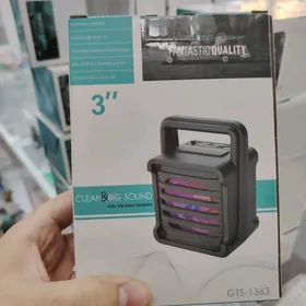 Kolonka GTS Bluetooth, Cip