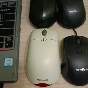 мышка mouse